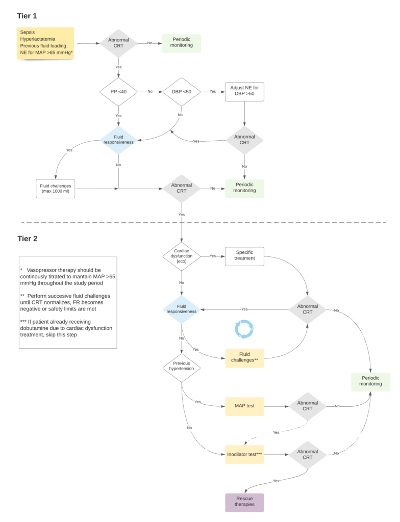 Sequential approach to resuscitation followed in CRT-P group.